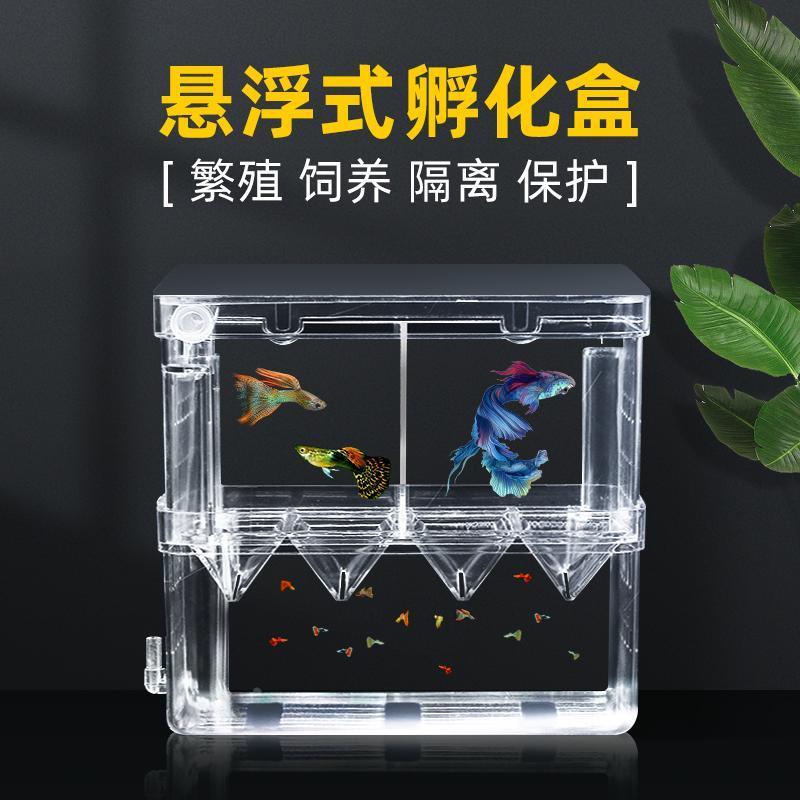 孔雀鱼繁殖盒鱼缸隔离盒斗鱼大号产卵孵化产房小鱼苗幼大鱼孵化器图片