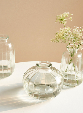 3个9.9元小众ins复古玻璃花瓶透明创意水培绿萝插花摆件网红