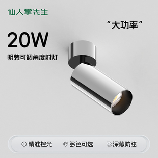 仙人掌先生明装 可调角度电镀银色射灯20W大功率客厅深杯防眩筒灯