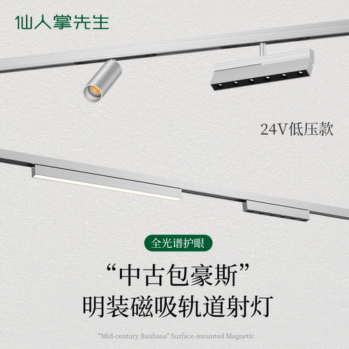 仙人掌先生包豪斯明装磁吸轨道灯