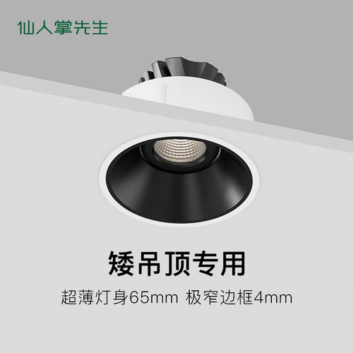 仙人掌极客射灯超薄防眩无主灯