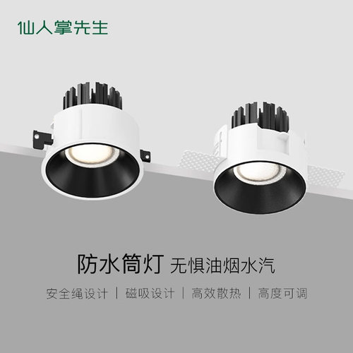 仙人掌先生极客厨卫防水防眩射灯