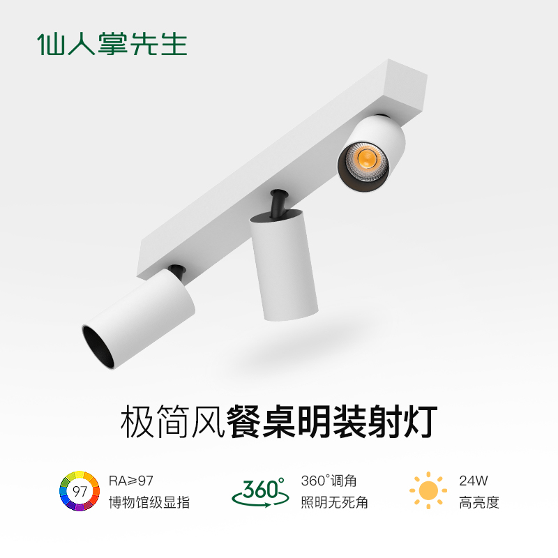 仙人掌先生餐厅航空铝材led光源