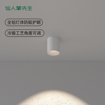仙人掌先生led无主灯具照明防眩极简走廊圆形吸顶免吊顶明装射灯