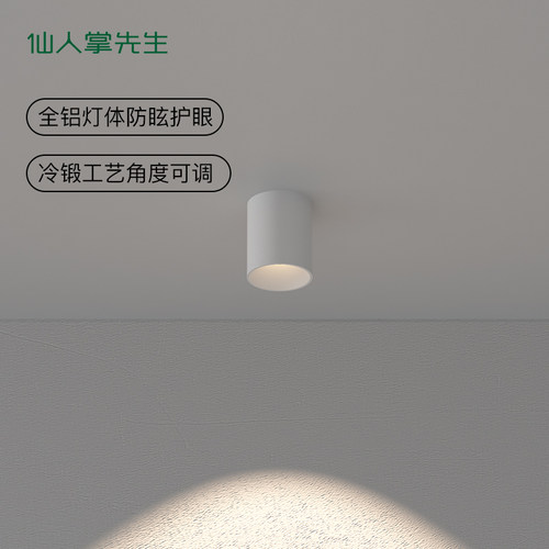 仙人掌先生led无主灯具照明防眩极简走廊圆形吸顶免吊顶明装射灯