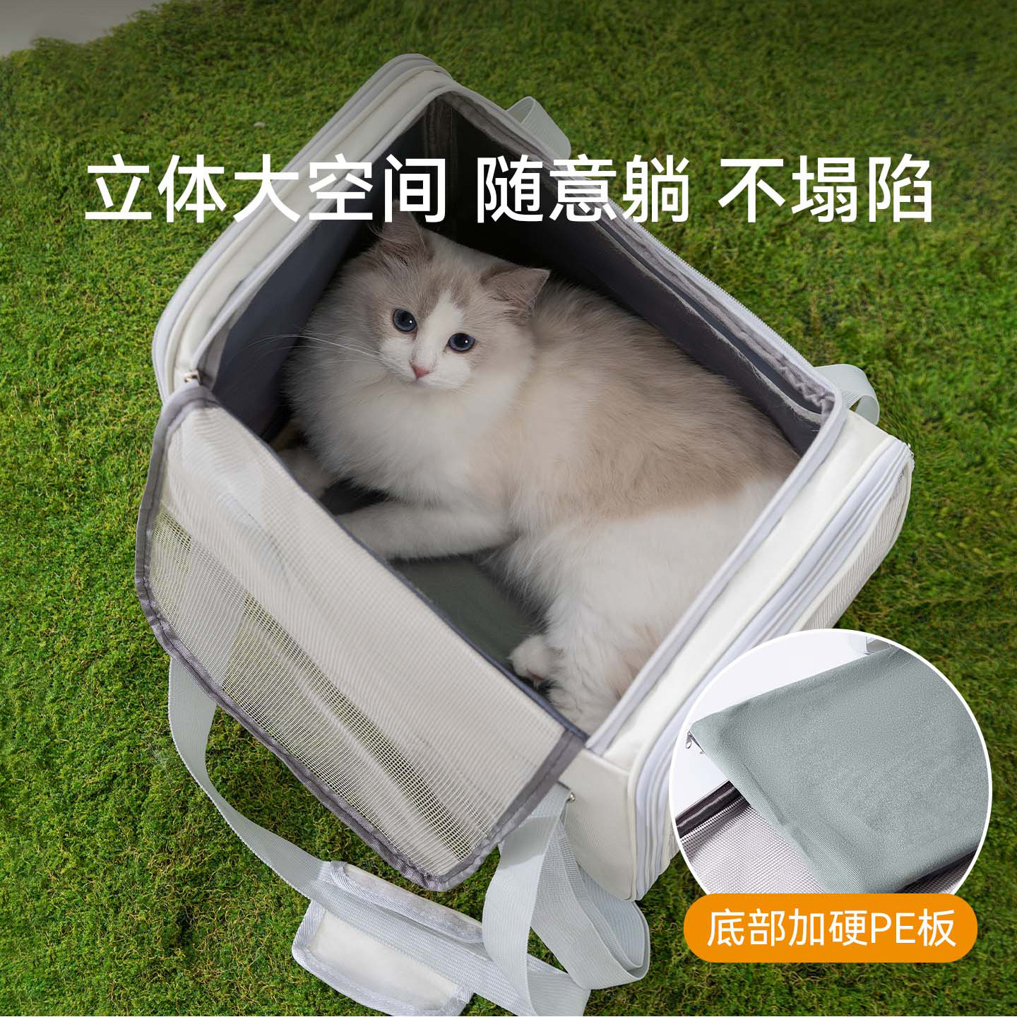 猫包宠物外出背包四季通用橘猫矮背包/箱包