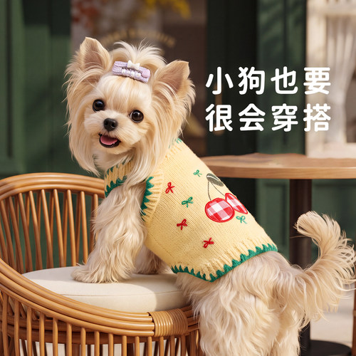狗狗衣服2026新款秋约克夏泰迪比熊雪纳瑞小型犬宠物高颜值毛衣服