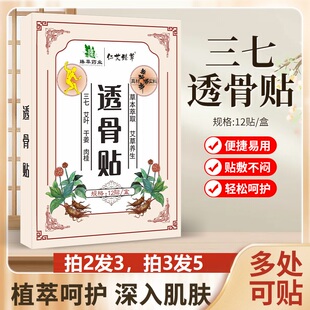 抖音同款仁艾臻草透骨贴12贴颈椎腰椎膝盖关节肩周腰椎间盘疼痛68