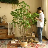 Симуляционный завод лошадь пьяный деревянный северный стиль декоративная гостиная приземляется большая комната для горшка бонсай фальшивый зеленый дерево растения