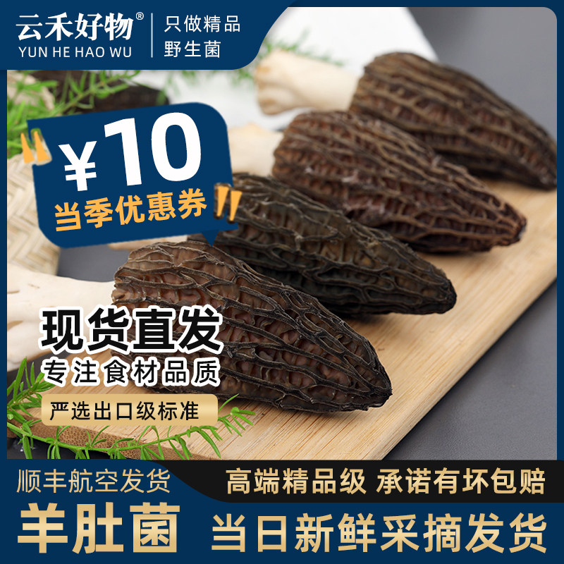 云禾好物 羊肚菌新鲜1000g云南羊肚菇肝茵礼盒装非纯野生羊肚蘑箘