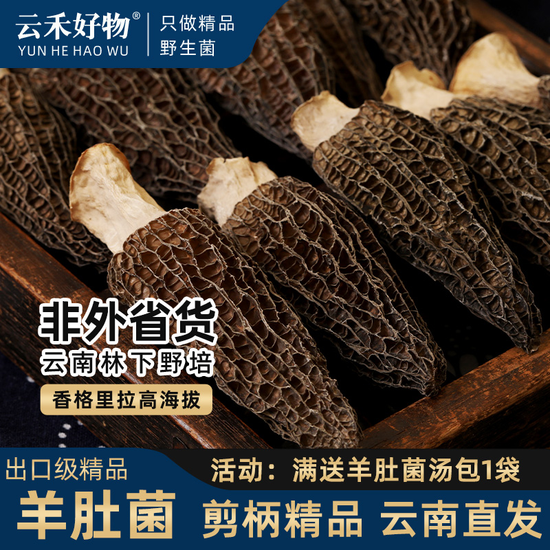 羊肚菌干货头茬肉厚款云南直发