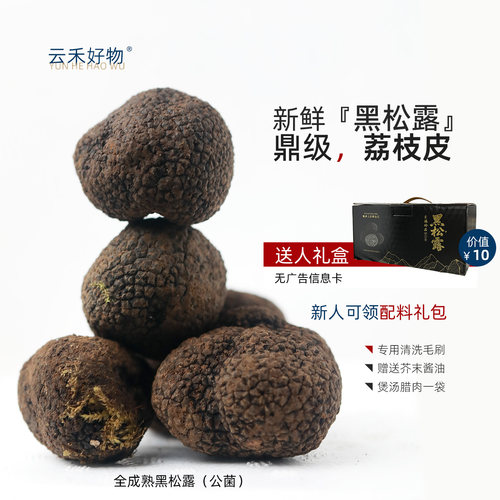 2026黑松露新鲜出口级荔枝皮品种