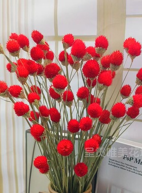 新款草莓果装饰小清新干花花束
