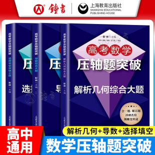 高考数学压轴题突破解析几何综合大题 导数综合大题高一高二高三适用刷题高考数学试题强化训练培优拔尖冲刺名校辅导书 压轴小题