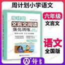 小学文言文阅读强化训练 文言文阅读 六年级6年级 小升初 周计划 小古文解析 诵读注音版 小学生文言文古诗文启蒙读本经典 小学教辅