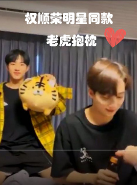 seventeen 权顺荣同款老虎抱枕创意羽绒棉趴姿印花斑马黄色虎靠垫