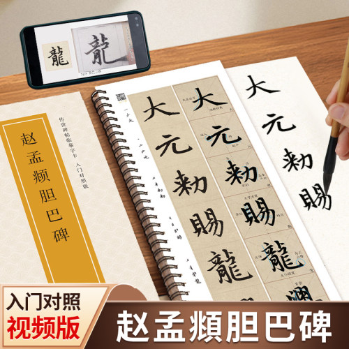 赵孟頫胆巴碑米字格放大版临摹字卡初学入门对照版全文视频精讲教程练字帖成人初学者近距离临摹字卡原帖碑帖赵体楷书毛笔书法字帖