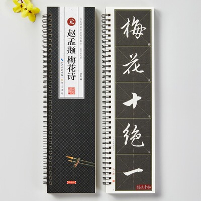 赵孟頫梅花诗碑帖近距离临摹字卡