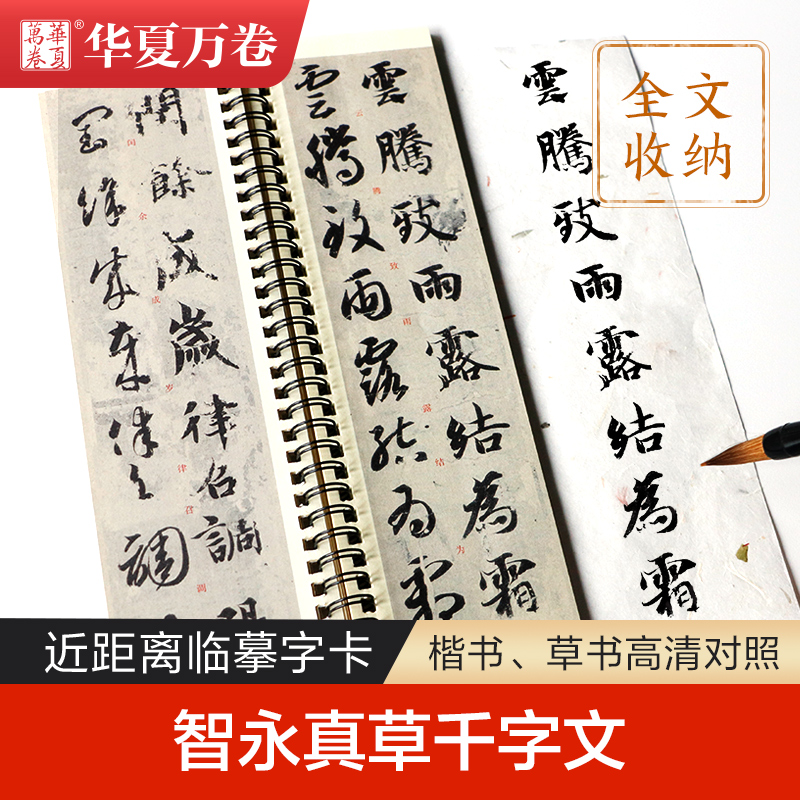 智永真草千字文近距离临摹临帖华夏万卷千字文毛笔书法练字帖草书