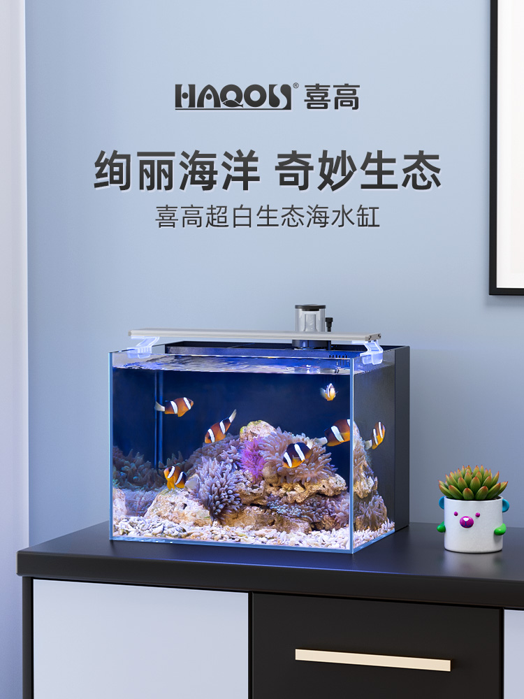 Şüşə akvarium dəsti filtrli, kiçik ölçülü, masa üstü balıq çəni
