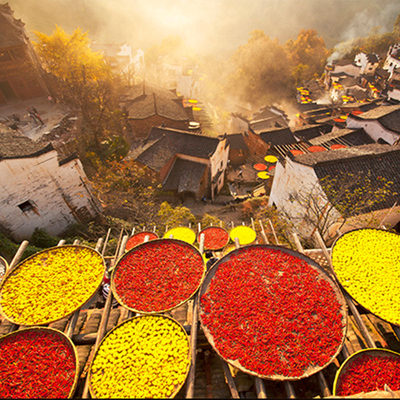 婺源 3天2晚 东线+北线全景 含门票/住宿/独立用车