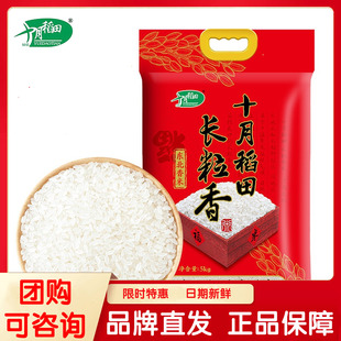 十月稻田东北大米黑龙江长粒香大米5kg农家自产大米粳米10斤包邮