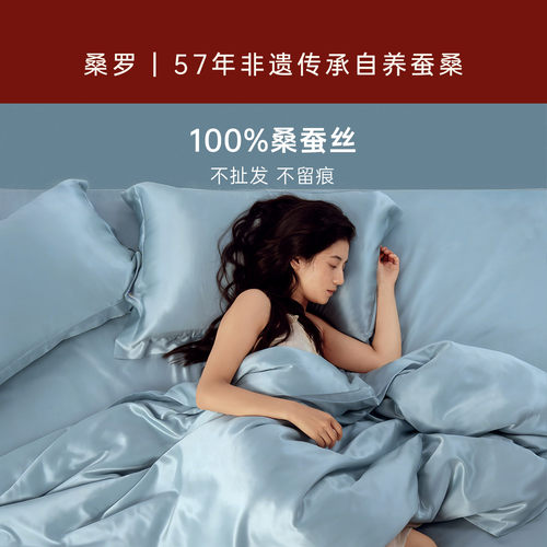 双面真丝枕套柔滑舒眠100%桑蚕丝