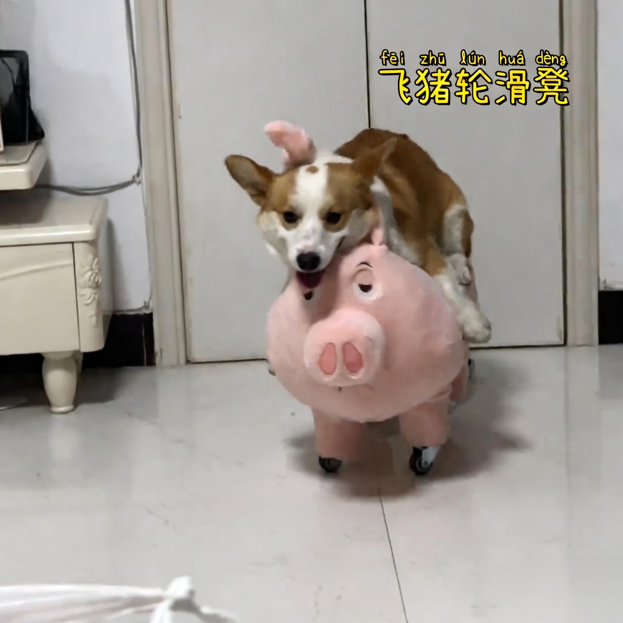 飞天猪太乙真人坐骑带轮公仔