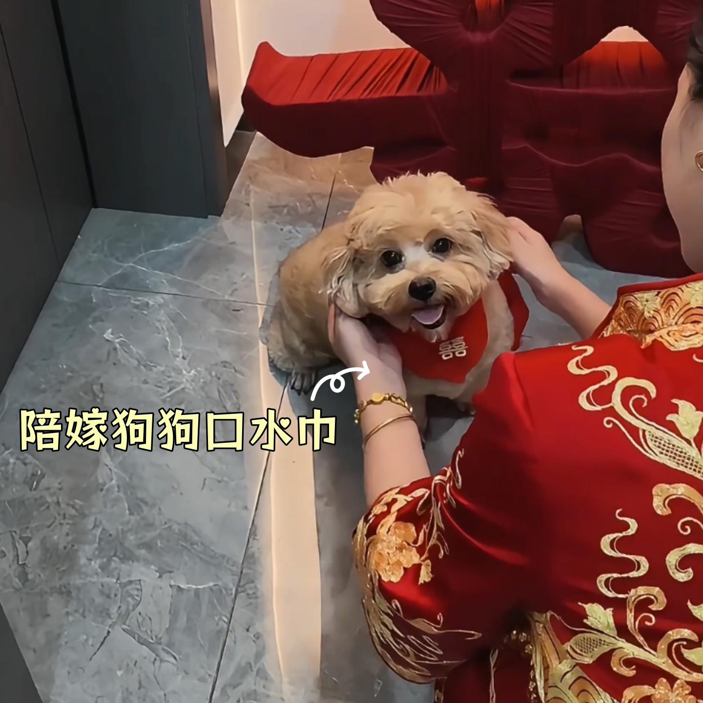 小狗口水巾围脖宠物结婚喜字猫咪兜装饰陪嫁喜庆项圈领结婚礼服配