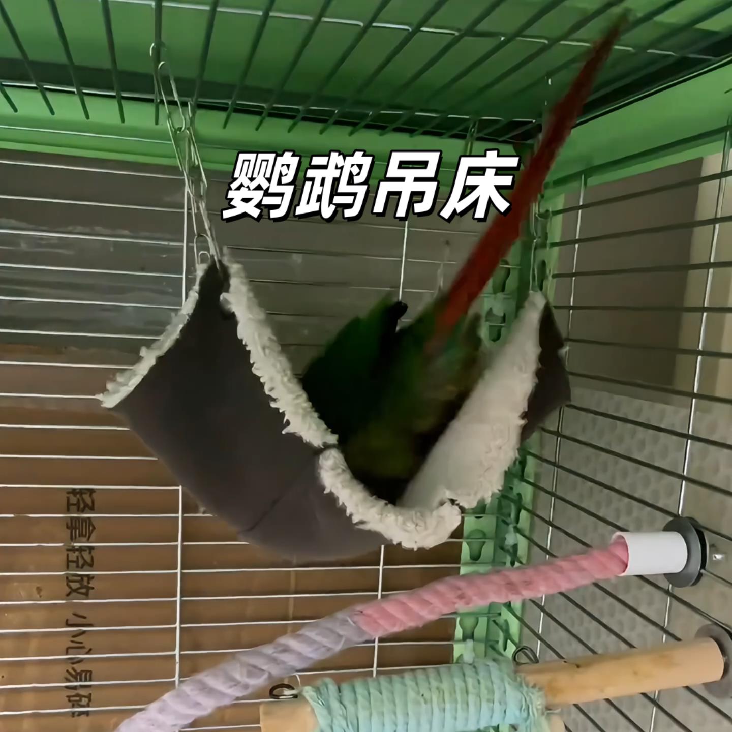 秋冬保暖鹦鹉秋千吊床