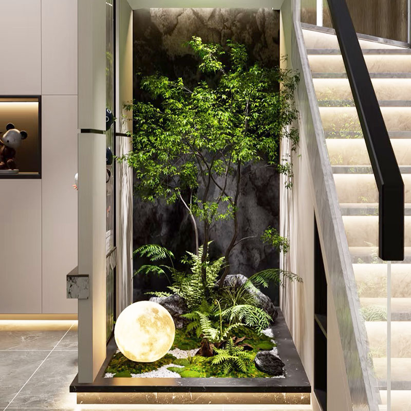 精品马醉木绿植造景橱窗植物榕树