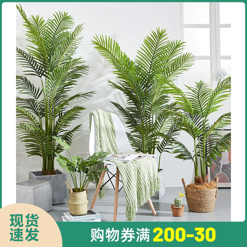 散尾葵仿真绿植造景盆栽落地摆件