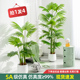 彷真绿色植物假植物轻奢客厅装 饰树室内大型盆栽蒲葵树落地摆件彷