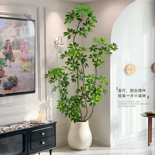 鸭脚木彷真绿色植物高端轻奢室内客厅电视柜落地摆件彷生植物盆栽