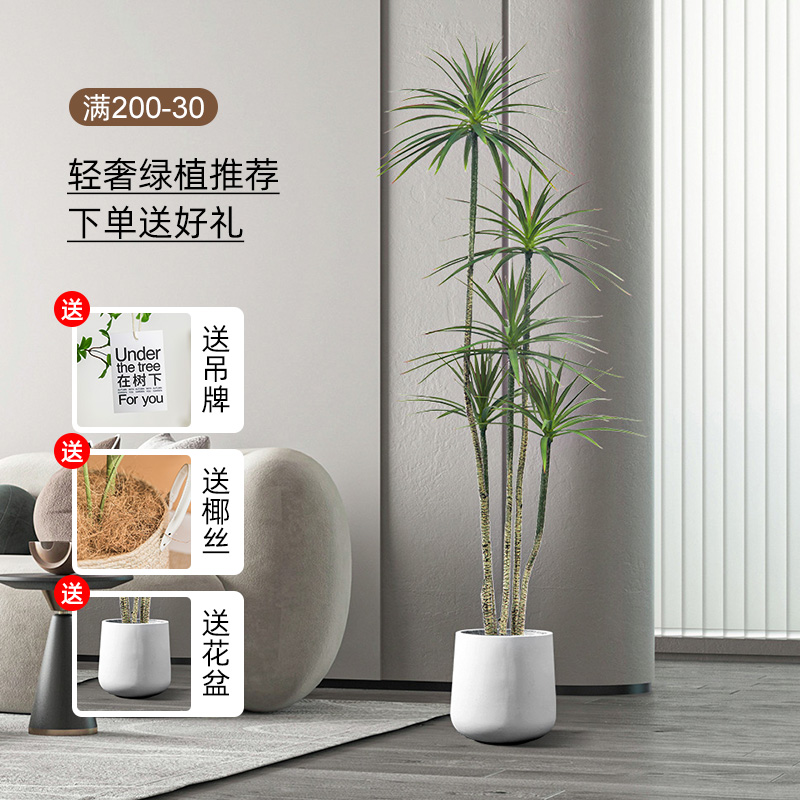 龙血树仿真绿植盆栽大型仿生假绿植装饰树室内客厅千年木仿真植物