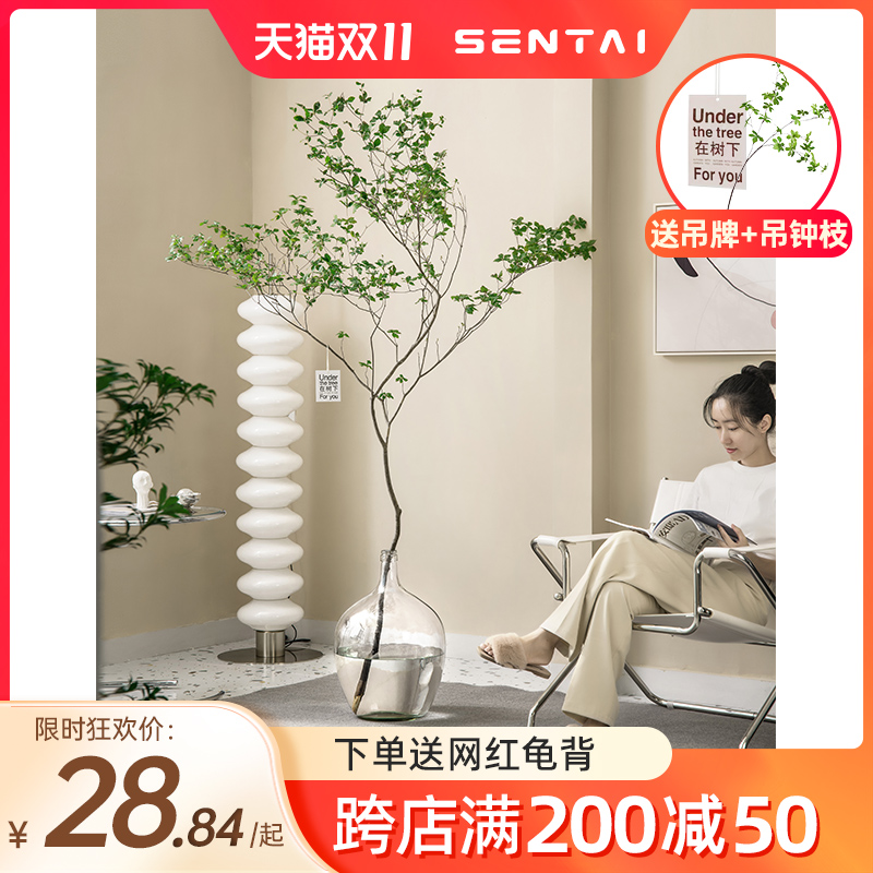 玻璃花瓶2021新款吊钟马醉木小口径大肚子花N瓶轻奢透明ins风摆件