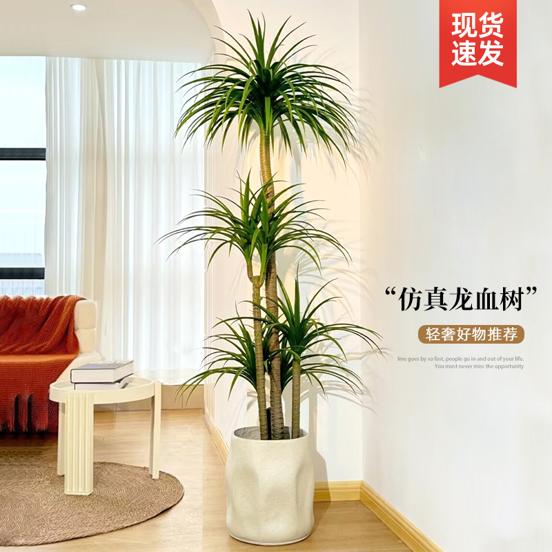 【新品首发】3D新技术高仿真绿植