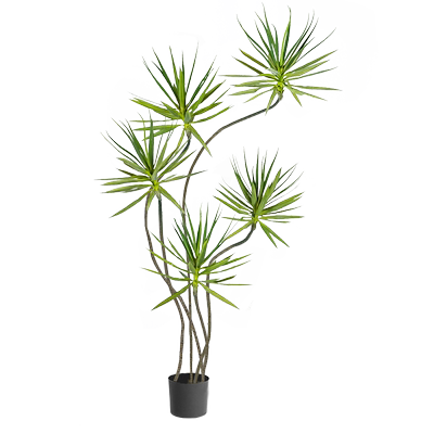【全网热销】仿真绿植龙血树盆栽