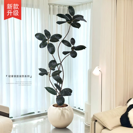 假绿植装饰仿真室内盆栽大型落地摆件客厅轻奢防真绿色植物黑金刚