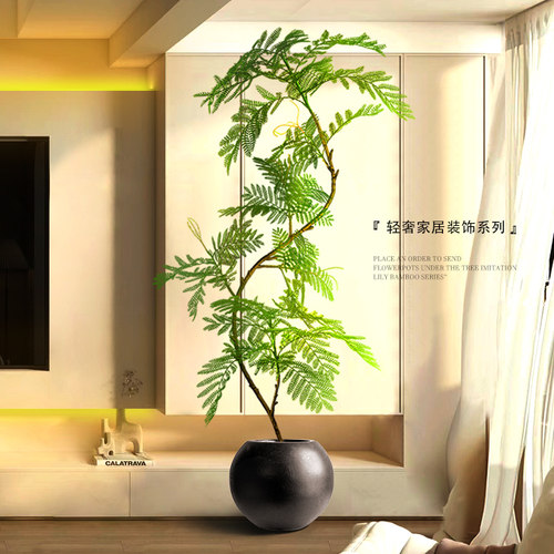 家居室内软装绿植沙发电视柜装饰