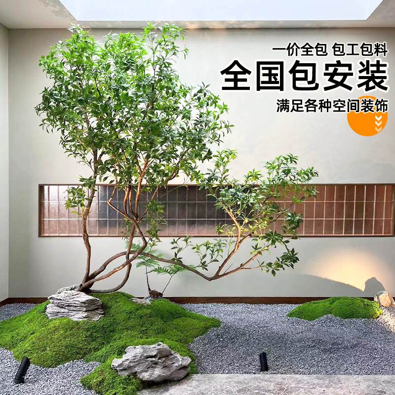 精品马醉木绿植造景橱窗植物榕树