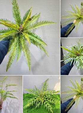 仿真防晒人造植物肾蕨波斯蕨蜈蚣草假草地插绿植软装装饰景观造景