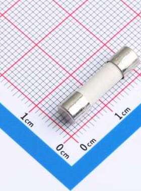 0001.2510 一次性保险丝 250V