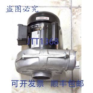 供应WEG 电动机 3336ES1BB56C 原装