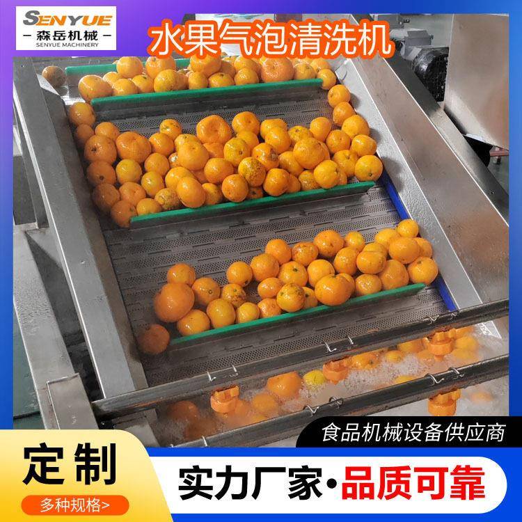 工厂用果蔬气泡清洗机桑葚鼓泡翻浪清洗机杨梅连续式清洗风干线