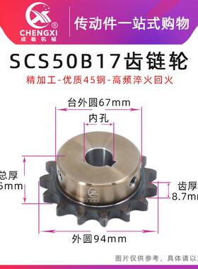 SCS高品质成型孔链轮5分50B17齿 10A17T外径94精车孔键槽顶丝孔