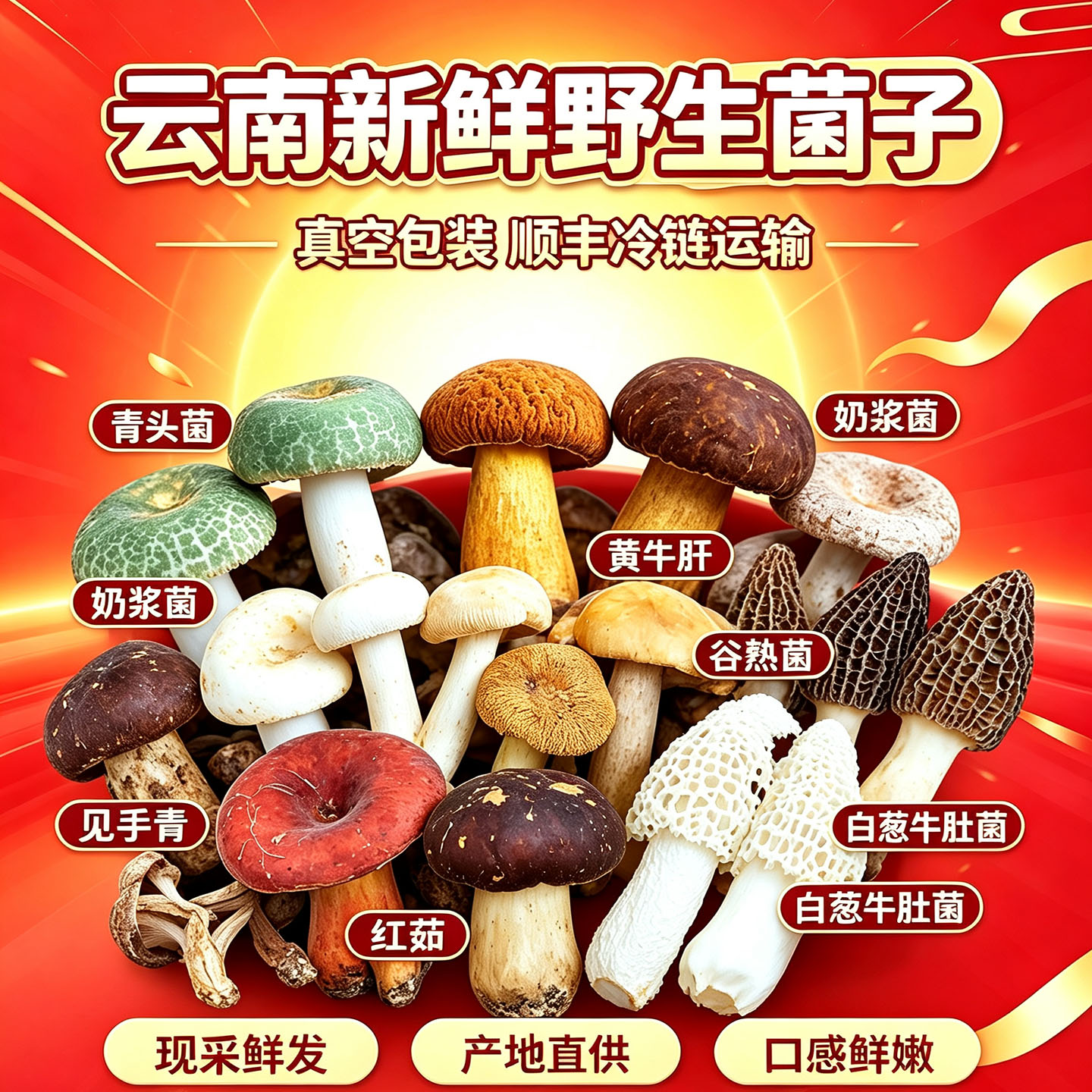 云南野生鲜切野生菌冷链包邮