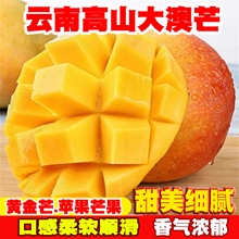【滇老头】正宗云南黄金澳芒果3斤-8.5斤