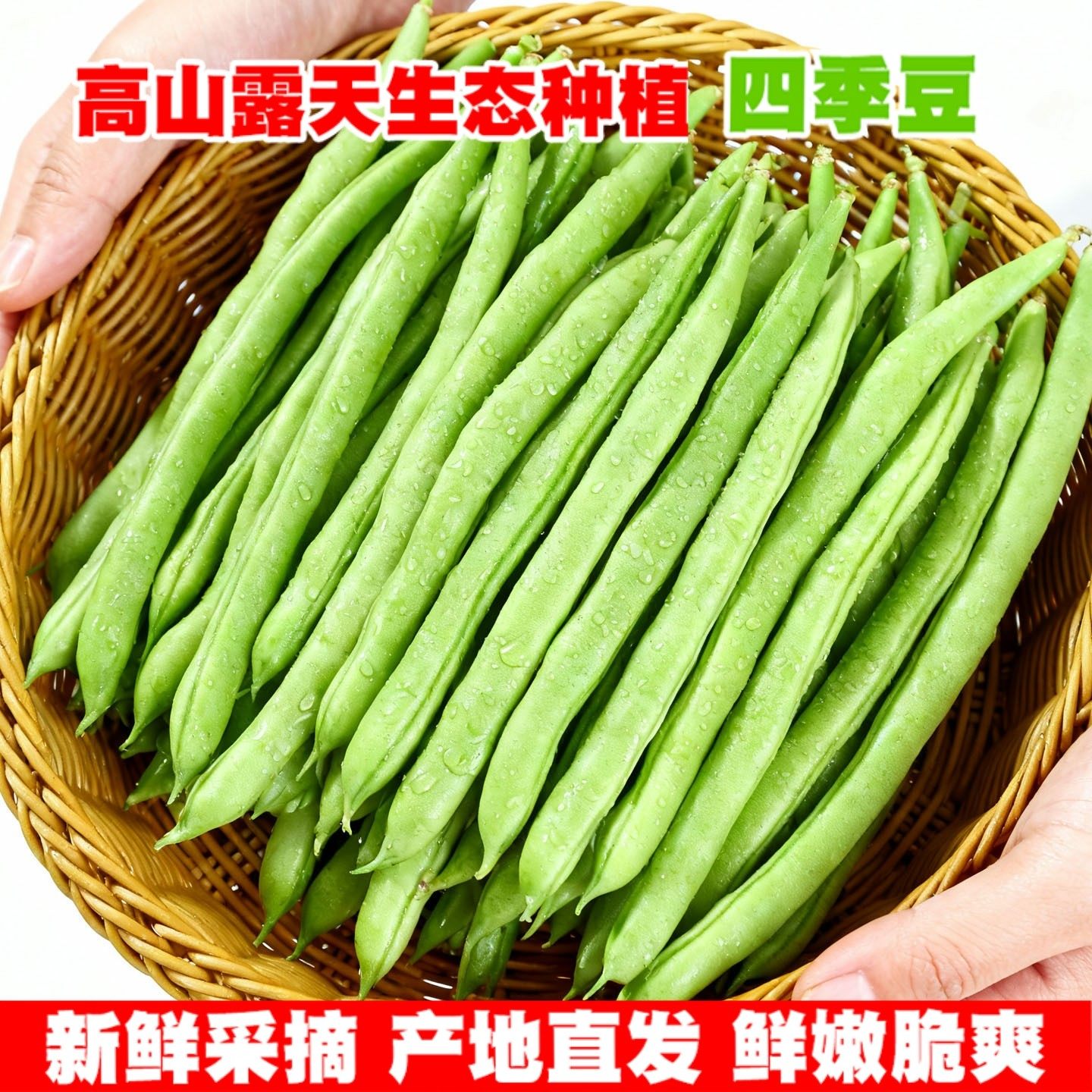 云南四季豆新鲜现摘油豆角露天种植无筋豆嫩豇豆当季农家时令蔬菜,水产肉类/新鲜蔬果/熟食,新鲜豆类,淘宝优惠券,粉丝福利购,淘宝优惠卷