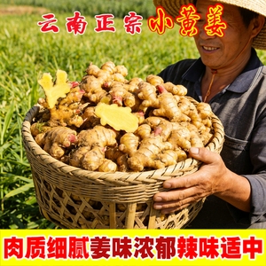 【滇老头旗舰店】云南新鲜小黄姜生姜1斤-5斤